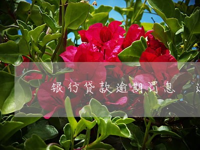 银行贷款逾期罚息 违约金 银行贷款逾期罚息 违约金